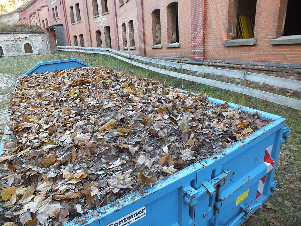 Laubcontainer auf dem Kehlwaffenplatz, November 2016