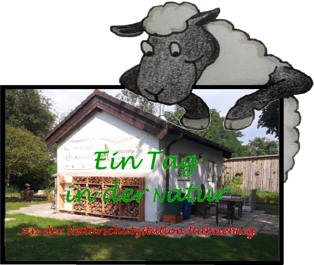 Ein Tag in der Natur